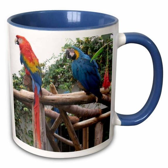 3drose, Rainbow Birds in Peru Animals Travel, 15oz Two-tone Blue Mug