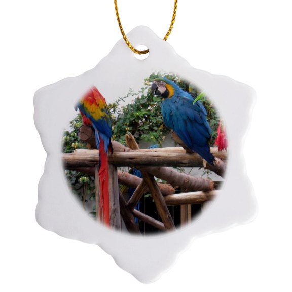 3drose, Rainbow Birds in Peru Animals Travel, 3 inch Snowflake Porcelain Ornament