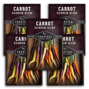 Rainbow Blend Carrot Seeds- Full Sun Biennial Vegetable - 5 Packs