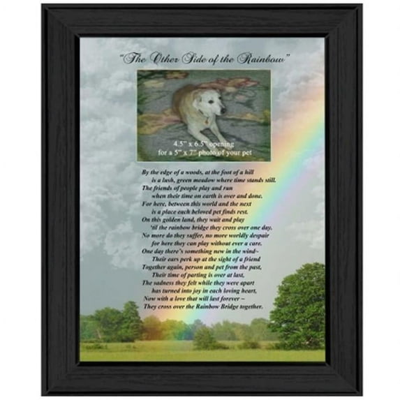 ''Rainbow Bridge" by Trendy Decor 4U Printed Framed Wall Art