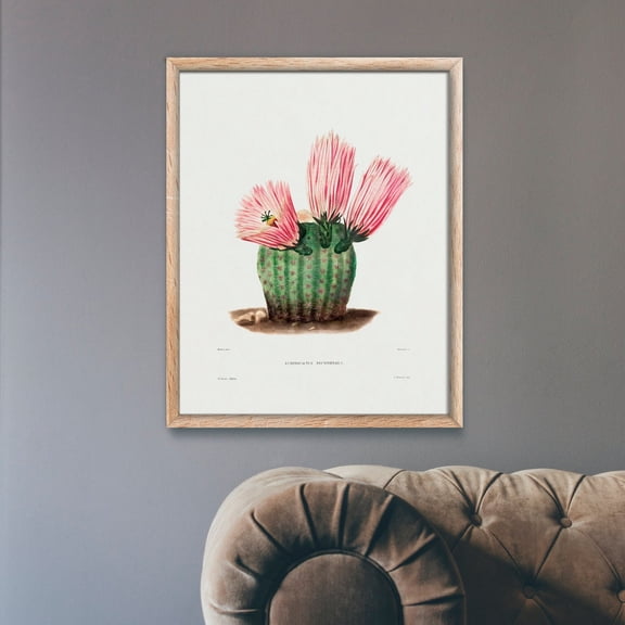 Rainbow Cactus (Botanical Lithograph for French Botanist Charles Antoine Lemaire) A4 A3 A2 Hi-Res Giclée Art Print, Poster Only