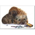 thumbnail image 1 of Rainbow Card Company GCU-102MCC Puppy Greeting Cards -12 Pack Muffin and Crumb Cake, 1 of 1