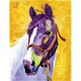 thumbnail image 1 of Rainbow Card Company LC115RJ 20 x 30 in. Stretched Canvas Raj, 1 of 1