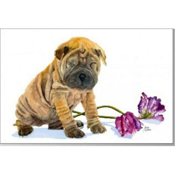 Rainbow Card Company Puppy Post Cards -25 Pack Rosco