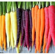 Rainbow Carrot Seeds for Planting Heirloom Packets 1000 Seeds   Plant & Grow Rainbow Carrots in Home Outdoor Garden