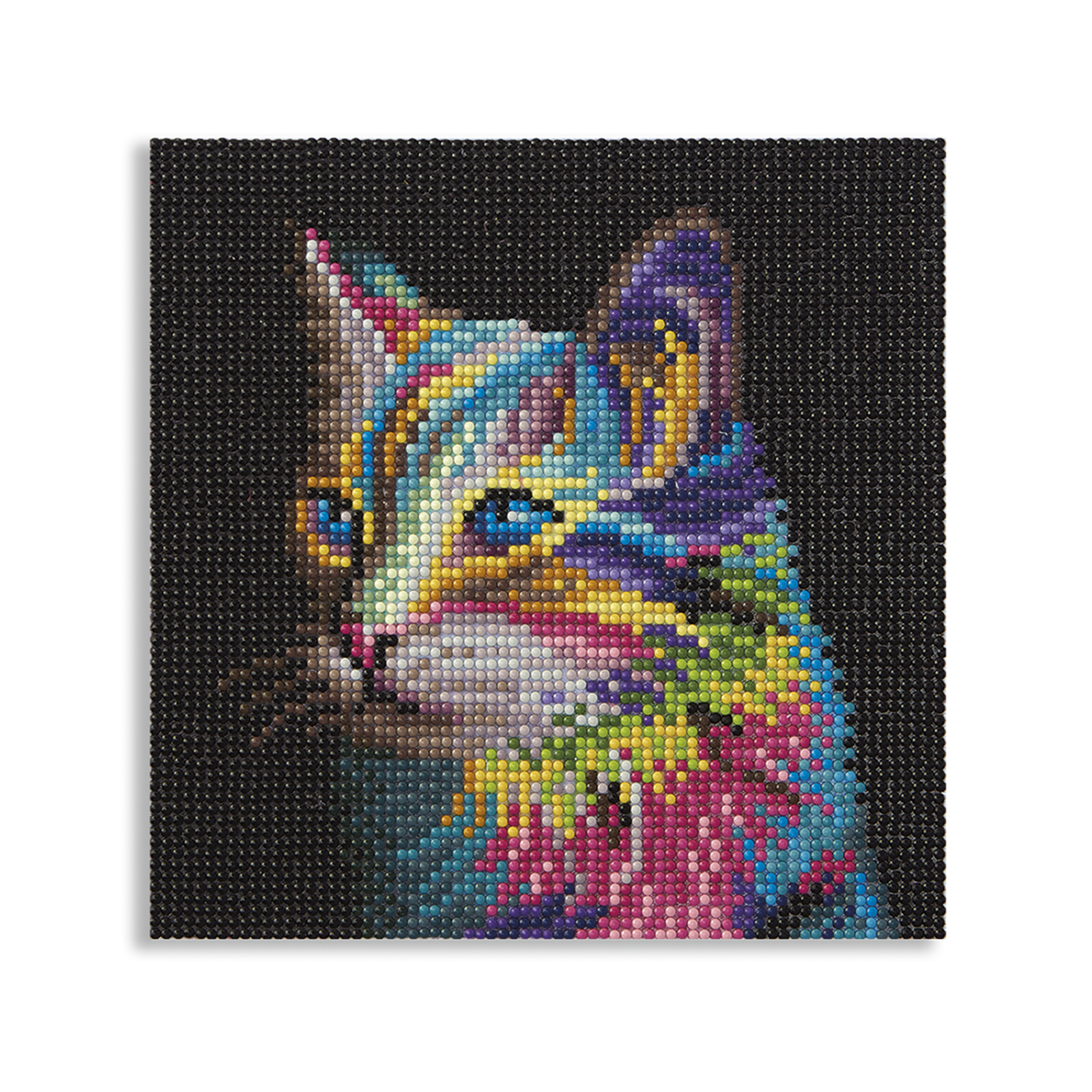 Rainbow Cat Painting Diamond Art Kit by Make Market – Full Drill with Gems & Tools - 8" x 8" Canvas - 6 Pack