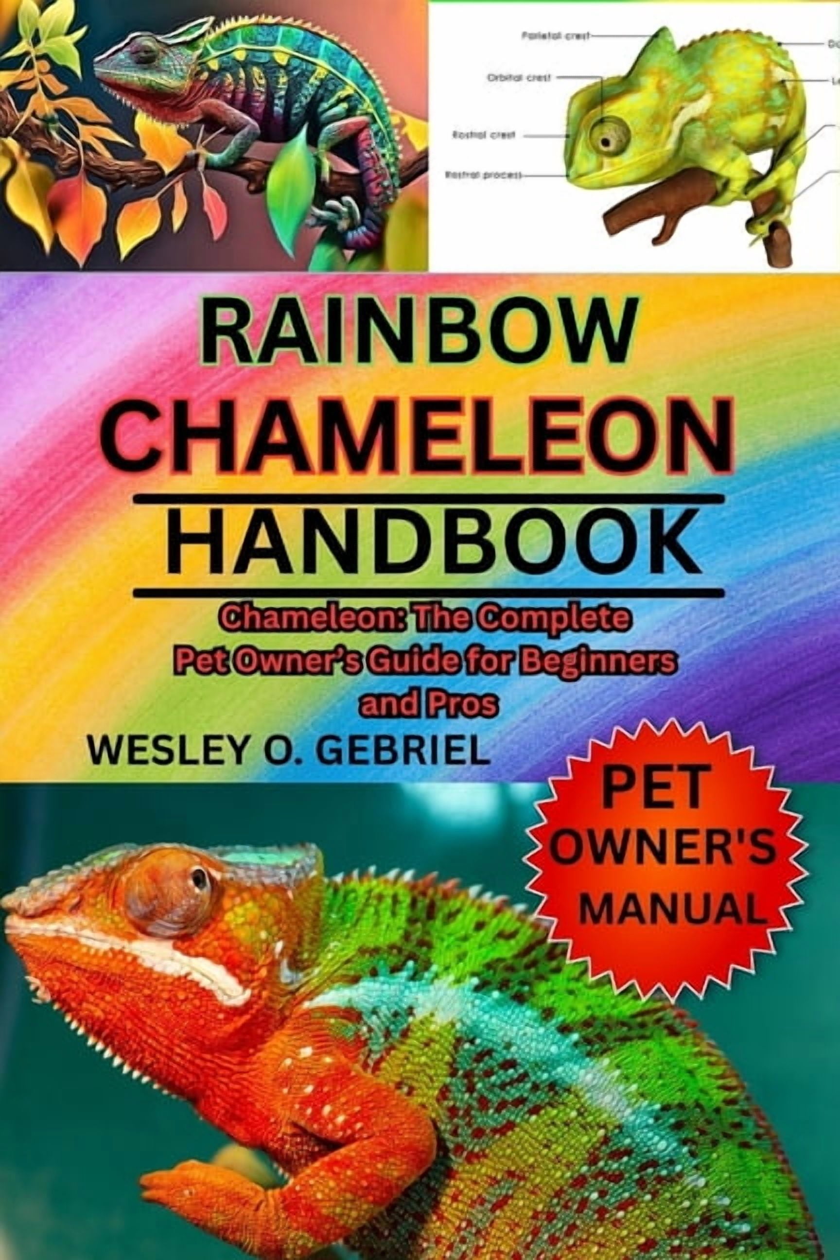 Rainbow Chameleon Care Manual: Chameleon: The Complete Pet Owner's Guide for Beginners and Pros, (Paperback)