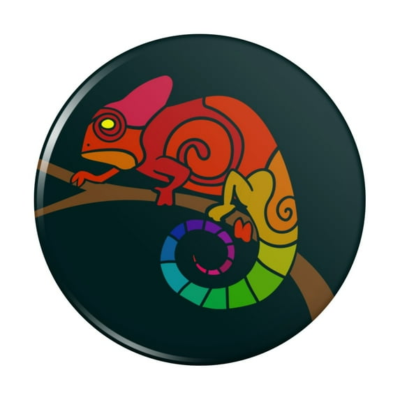 Rainbow Chameleon Kitchen Refrigerator Locker Button Magnet