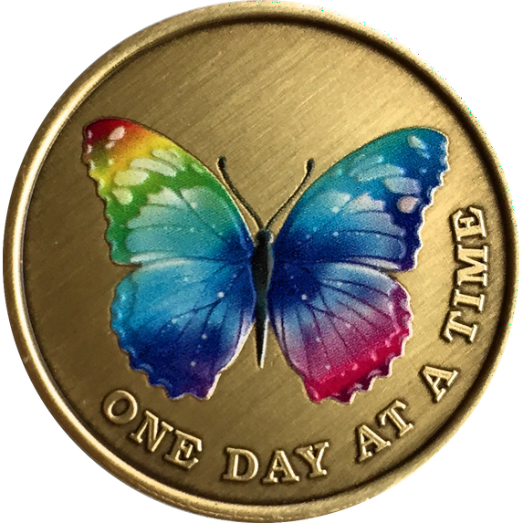 Rainbow Color Butterfly One Day At A Time Serenity Prayer Medallion