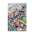 thumbnail image 1 of Rainbow Colorful Geckos Lizards Rectangle Acrylic Fridge Refrigerator Magnet, 1 of 5