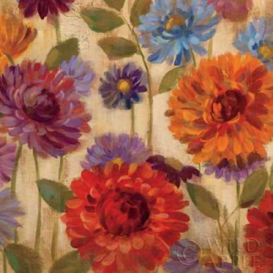 Rainbow Dahlias Crop II Canvas Art - Silvia Vassileva (24 x 24)
