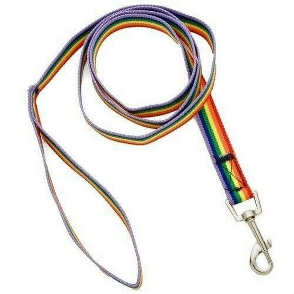 Rainbow Dog Leash Fashion Fashionable Pet Accessory