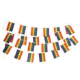 Rainbow Flag LGBT Pride String Flag Banners for Pansexuality