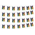 Rainbow Flag LGBT Pride String Flag Banners for Pansexuality