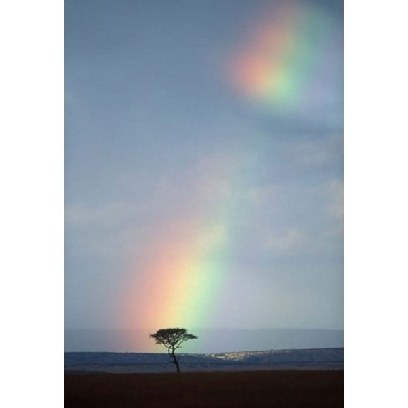 Rainbow Forms Amid Rain Clouds, Masai Mara Game Reserve, Kenya Poster Print by Paul Souders (12 x 17)