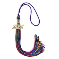 Endea Graduation Rainbow Graduation Tassel with Gold Date Drop