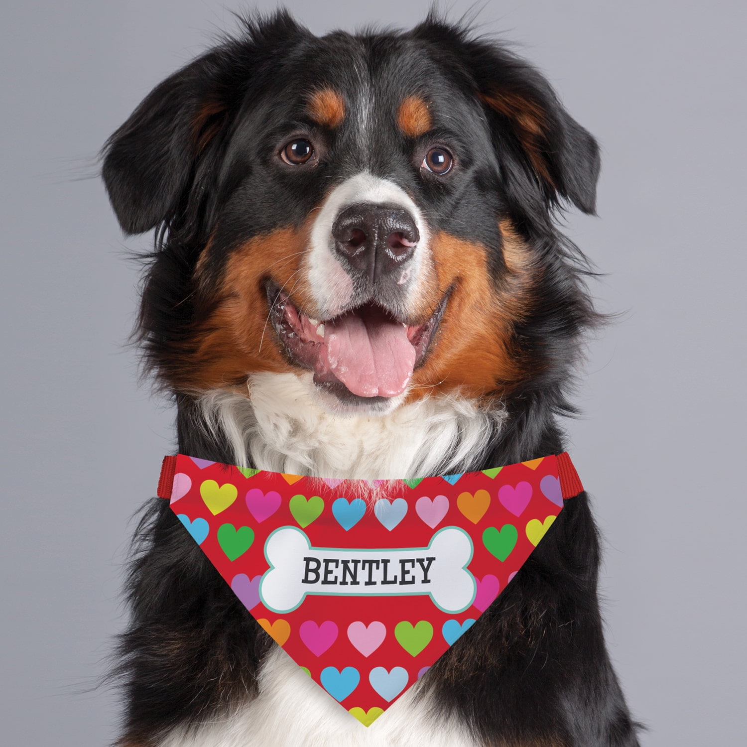 Rainbow Hearts Personalized Dog Bandana Collar Cover