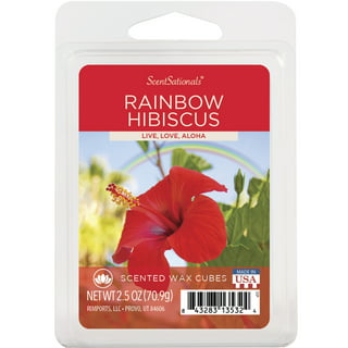 Bulk 144 Pc. Hibiscus Flower Picks