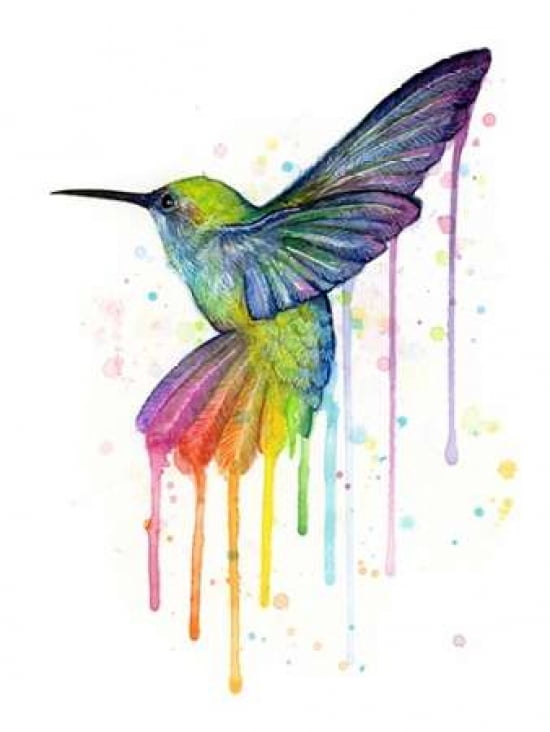Rainbow Hummingbird Canvas Art - Olga Shvartsur (18 x 24)