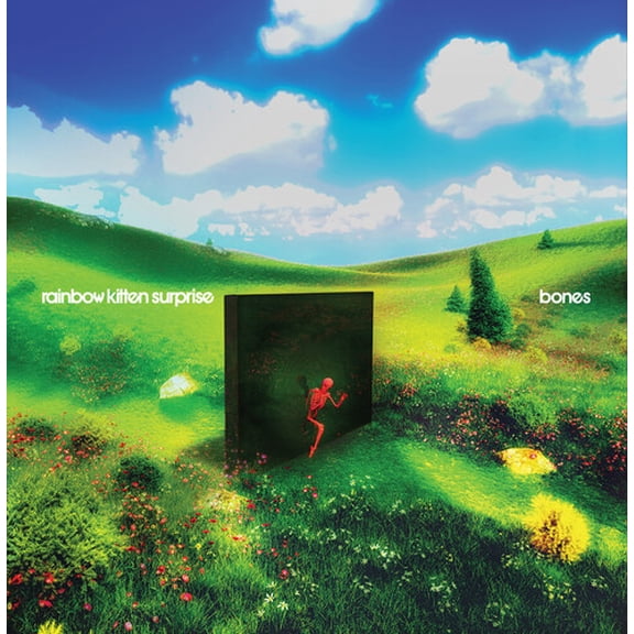 Rainbow Kitten Surprise Bones (Indie Exclusive Banana Vinyl) Records & LPs