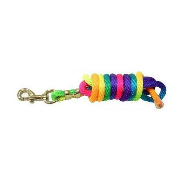 Rainbow Lead Rope