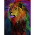 thumbnail image 1 of Rainbow Lion Poster Print by Alixandra Mullins, 1 of 2