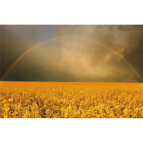 Rainbow Over Farmers Field Poster Print