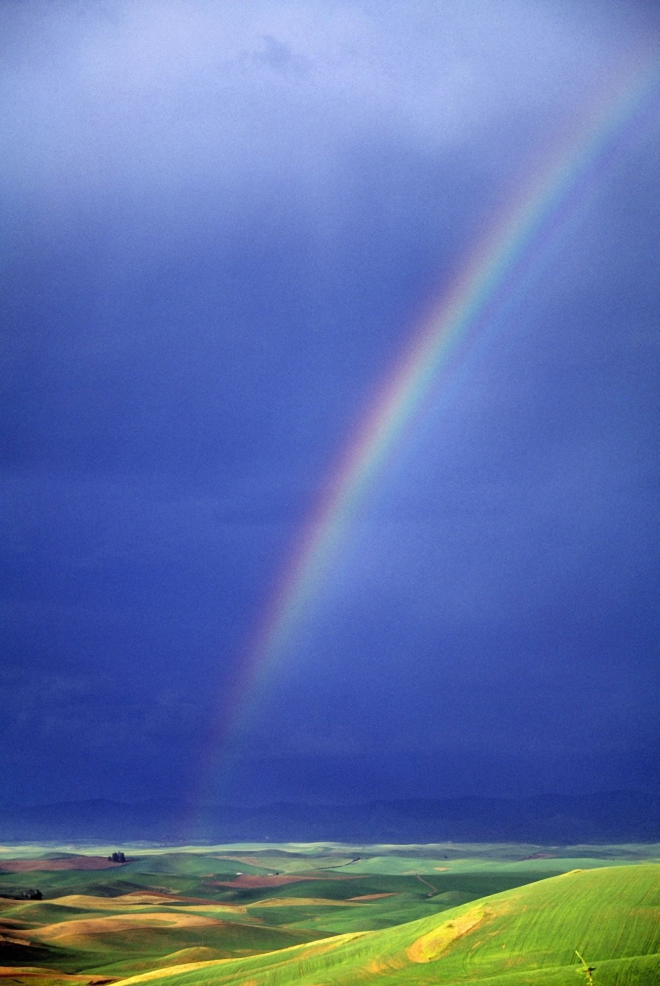 Rainbow Over Rolling Hills Canvas Art - Natural Selection Chris Pinchbeck Design Pics (24 x 36)