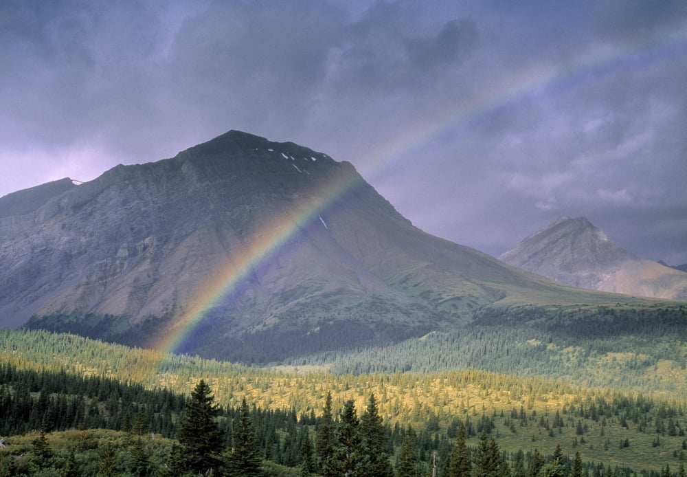 Rainbow Over Willmore Wilderness Park Alberta Canada Canvas Art - Darwin Wiggett Design Pics (32 x 22)