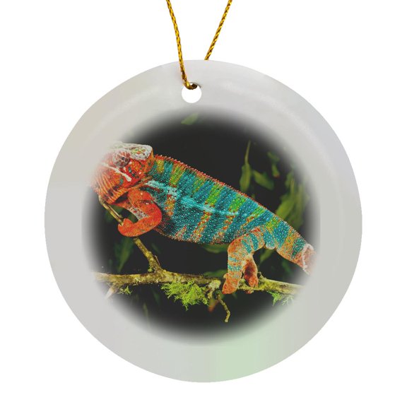 3drose, Rainbow Panther Chameleon, Lizard in Madagascar - Na02 Dno0841 - David Northcott, Circle Porcelain Ornament