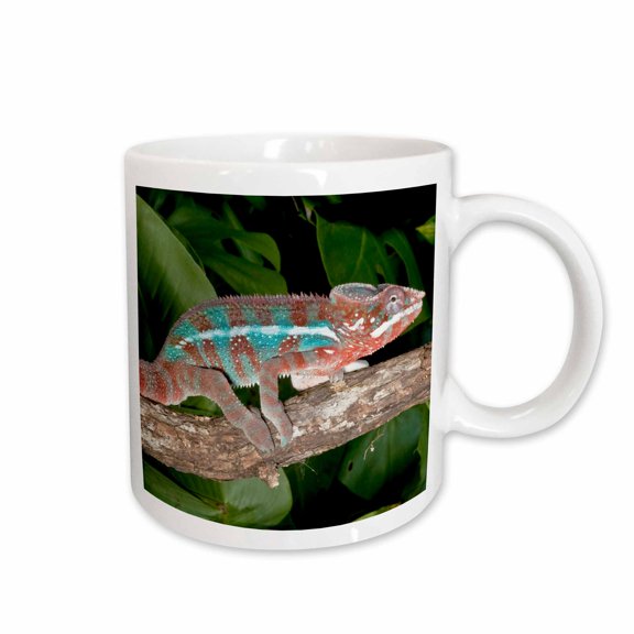 3drose, Rainbow Panther Chameleon, Lizard - Na02 Dno0693 - David Northcott, 15oz Mug