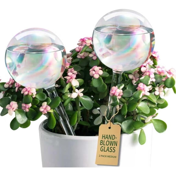 Rainbow Plant Watering Globes, Extra-Thick Glass, 2 Pack