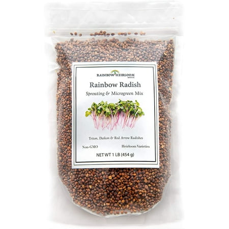 Rainbow Radish Sprouting Seeds Mix, 1 LB (16 oz) | Contains Red Arrow, Purple Triton & White Daikon Radish Seeds | Heirloom Non-GMO Seeds | Rainbow Heirloom Seed Co.
