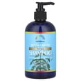 thumbnail image 1 of Rainbow Research Henna & Biotin Herbal Shampoo, For Normal or Color Treated Hair, 12 fl oz (360 ml), 1 of 3