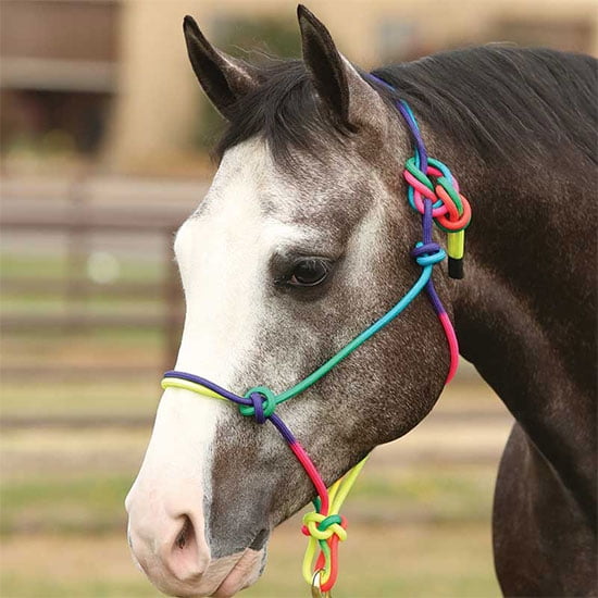 Cowboy Tack Rainbow Rope Halter