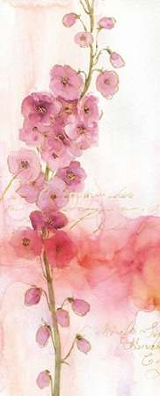 Rainbow Seeds Absract Floral I Canvas Art - Audit Lisa (10 x 20)