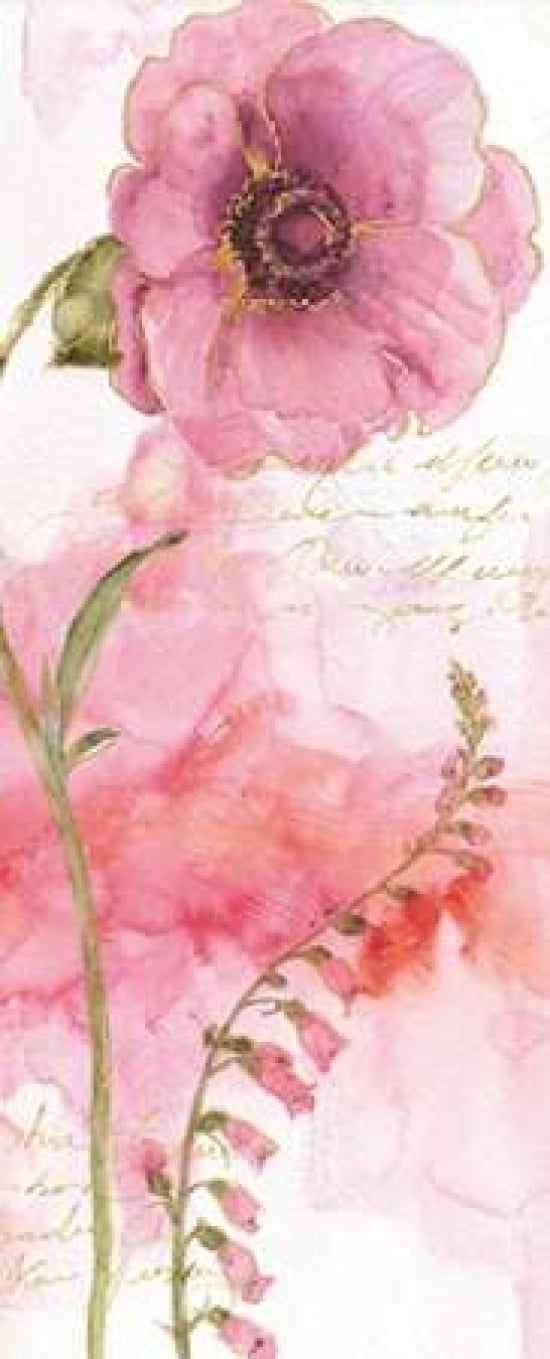 Rainbow Seeds Absract Floral II Canvas Art - Audit Lisa (24 x 48)