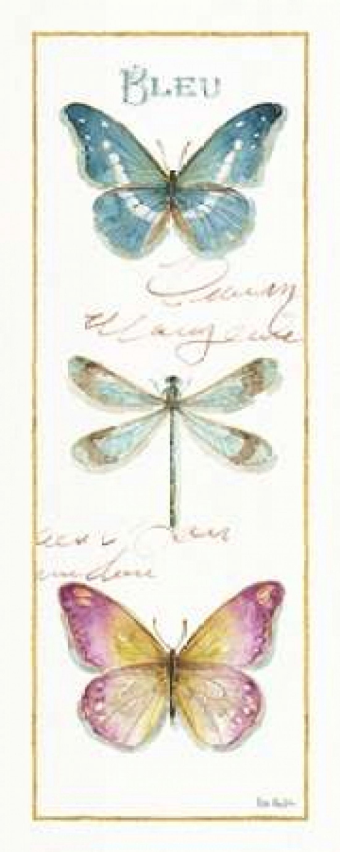 Rainbow Seeds Butterflies I Canvas Art - Audit Lisa (10 x 20)