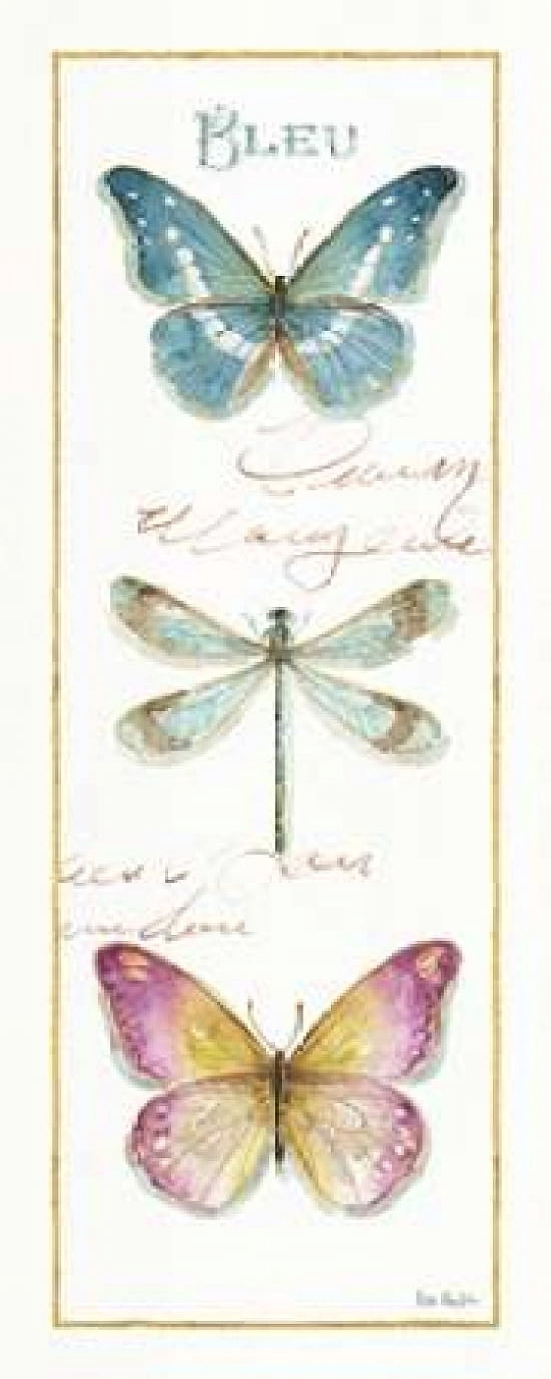 Rainbow Seeds Butterflies I Canvas Art - Audit Lisa (24 x 48)