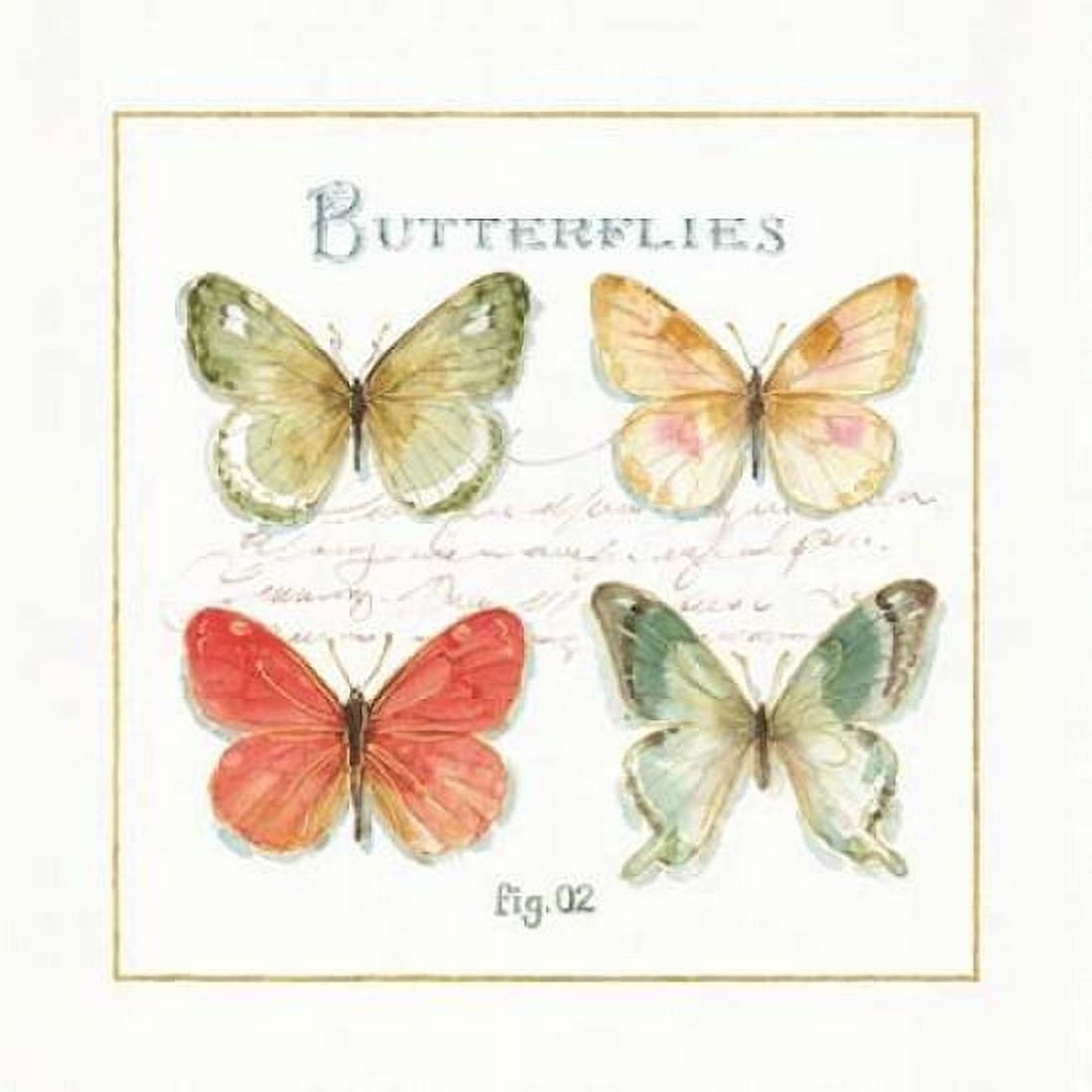 Rainbow Seeds Butterflies III Canvas Art - Audit Lisa (24 x 24)