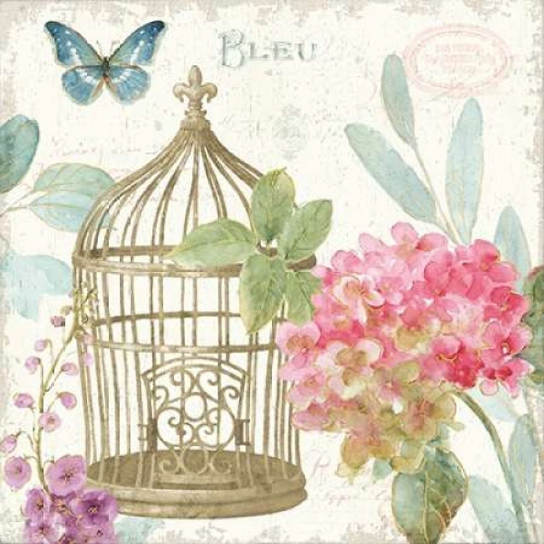 Rainbow Seeds Floral Birdcage II v2 Canvas Art - Audit Lisa (24 x 24)