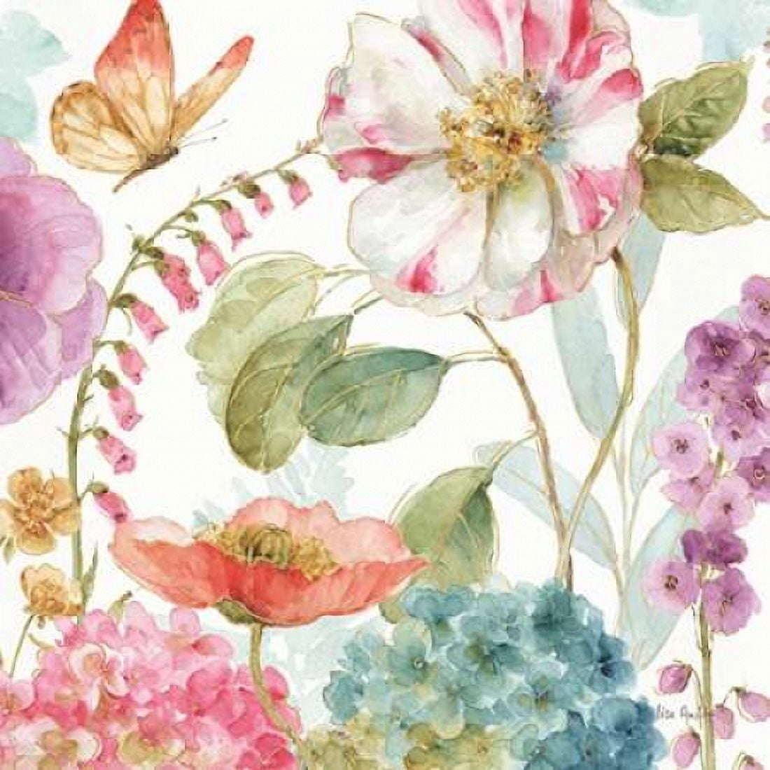 Rainbow Seeds Flowers II Canvas Art - Audit Lisa (24 x 24)
