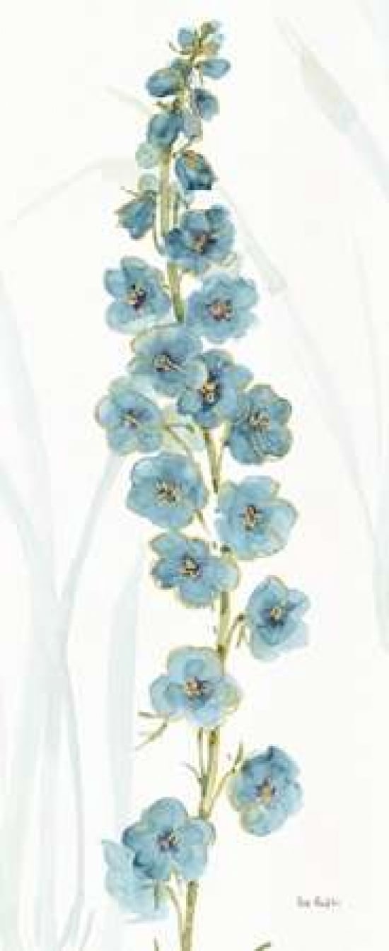 Rainbow Seeds Flowers VI Canvas Art - Audit Lisa (24 x 48)