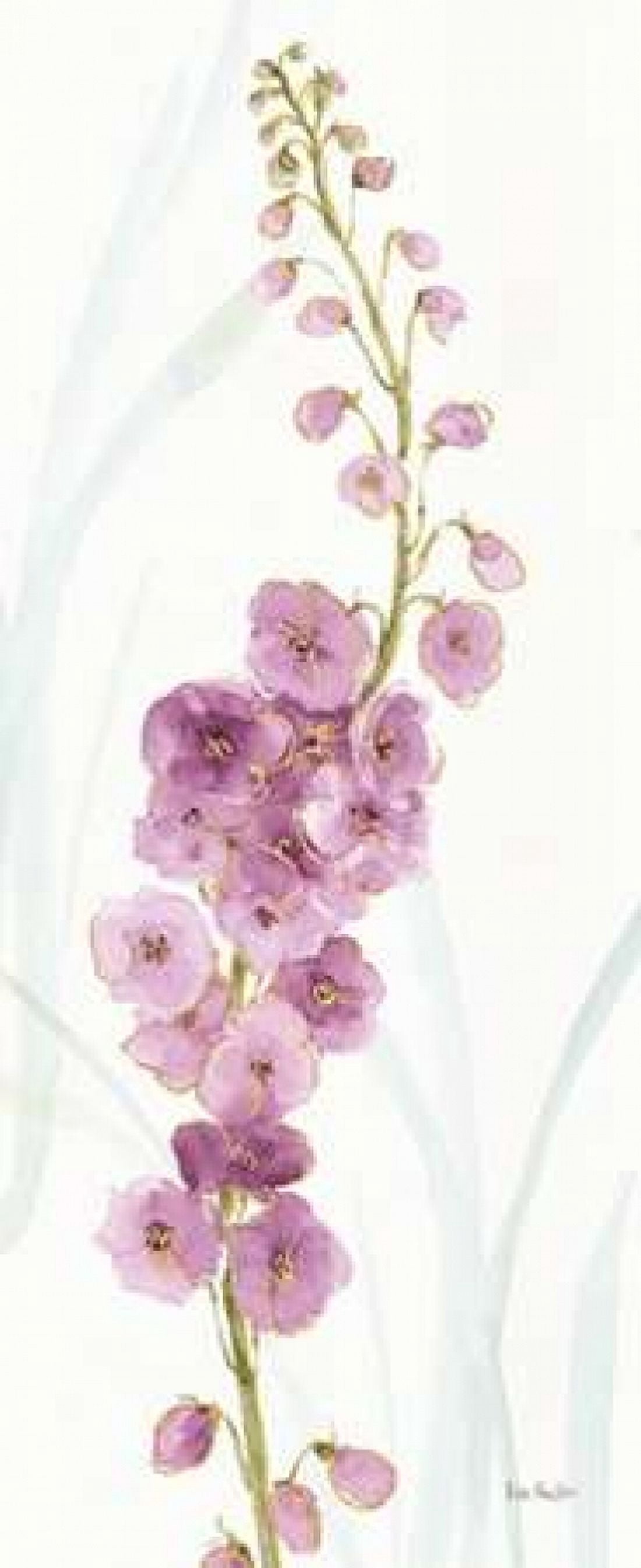 Rainbow Seeds Flowers VII Canvas Art - Audit Lisa (10 x 20)