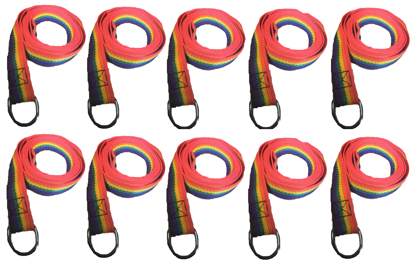 Rainbow Slip Style Dog Leash 6 ft Vet Rescue Shelter Training 5 or 10