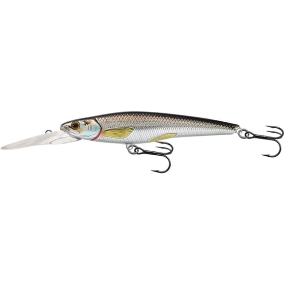 Rainbow Smelt Jerkbait Deep Dive