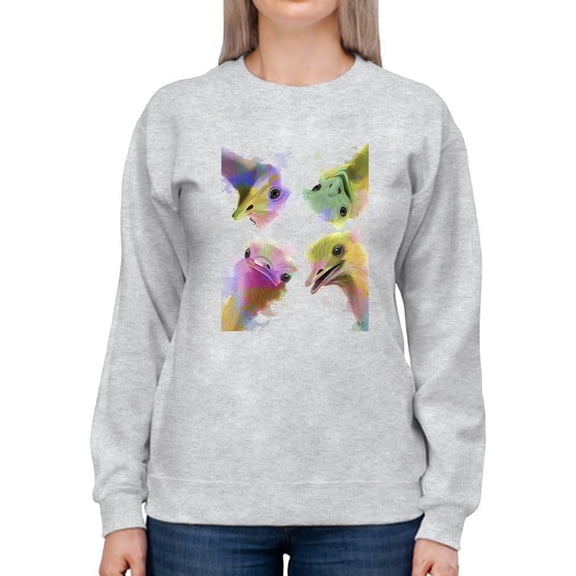 Rainbow Splash Ostriches Sweatshirt Women -Fab Funky Designs, Female XX-Large