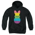 thumbnail image 1 of Rainbow Striped Easter Bunny Peep Youth Kids Boy/Girls Pull-Over Hoodie, Black, Small, 1 of 5