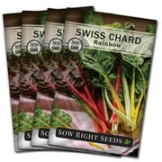Rainbow Swiss Chard Seeds - Non GMO Heirloom Varieties for your Home Vegetable Garden - 4 Pack