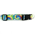 thumbnail image 1 of Rainbow Tie Dye Bones & Paws Dog Collar - Size - Small, 1 of 1